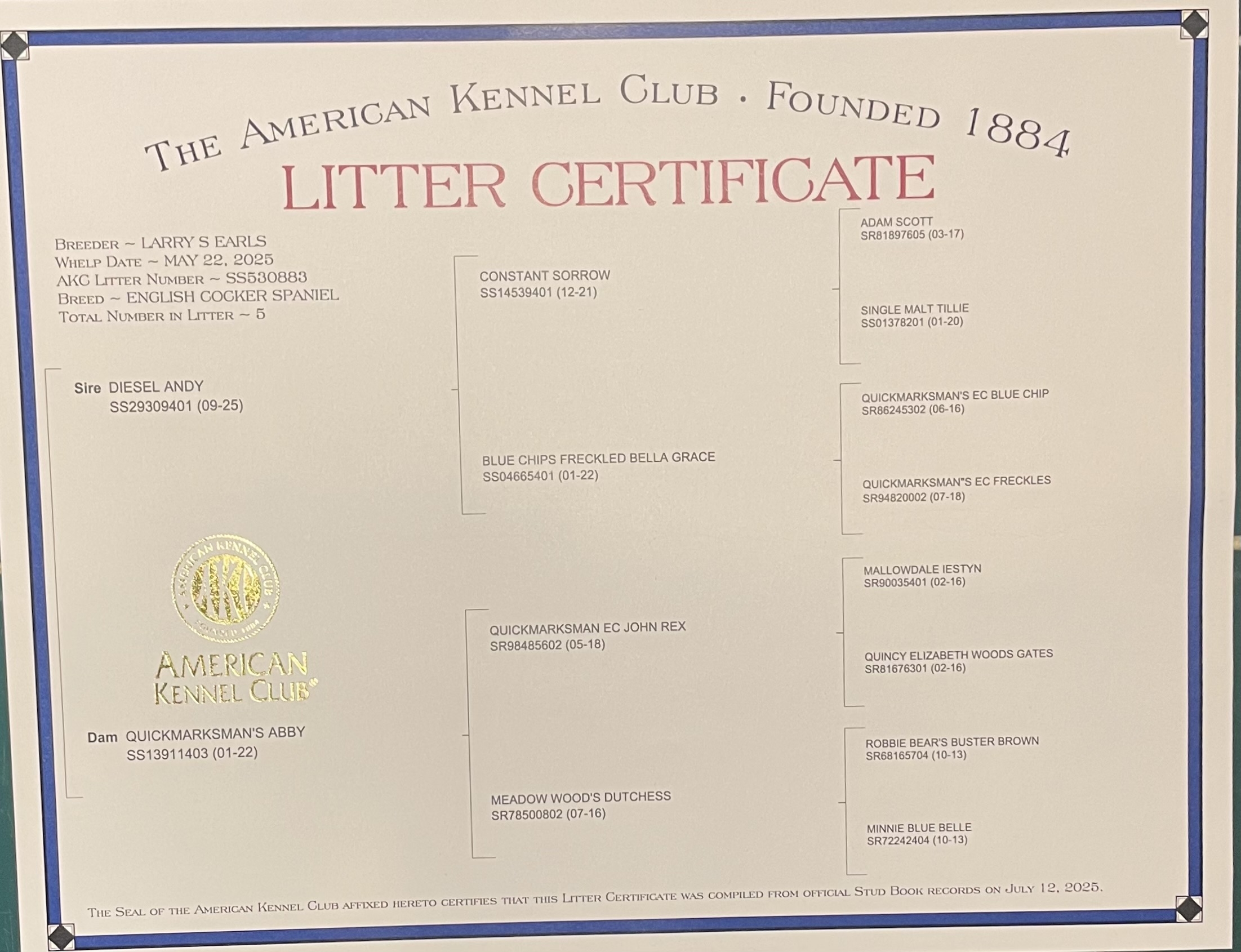 AKC Litter Certificate
